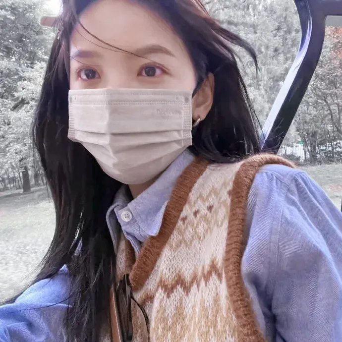 万花嬉春
