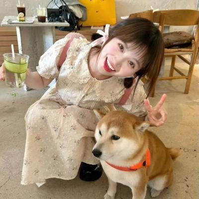 梦中的简